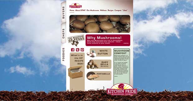 Alpah mindset presents Kitchen Pride Mushrooms Foodie Home Page